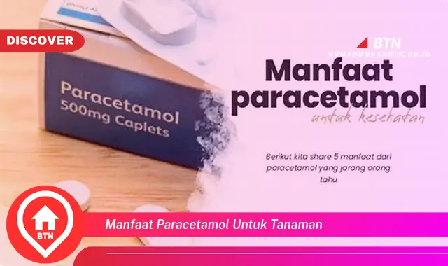 manfaat paracetamol untuk tanaman