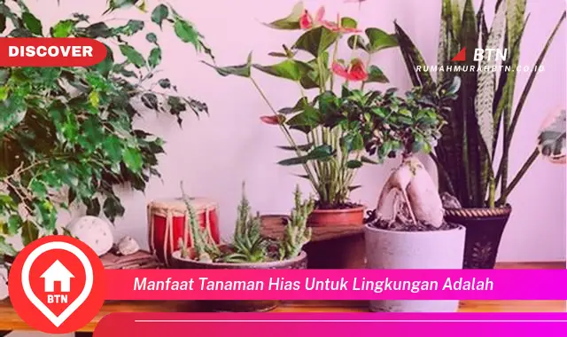 manfaat tanaman hias untuk lingkungan adalah