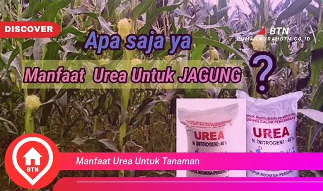 manfaat urea untuk tanaman