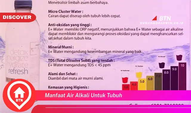 manfaat air alkali untuk tubuh