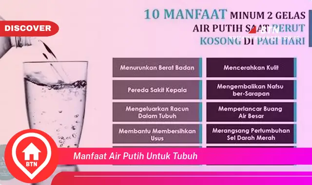 manfaat air putih untuk tubuh