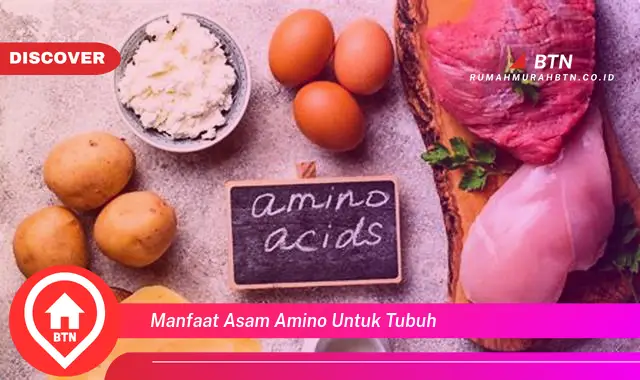 manfaat asam amino untuk tubuh