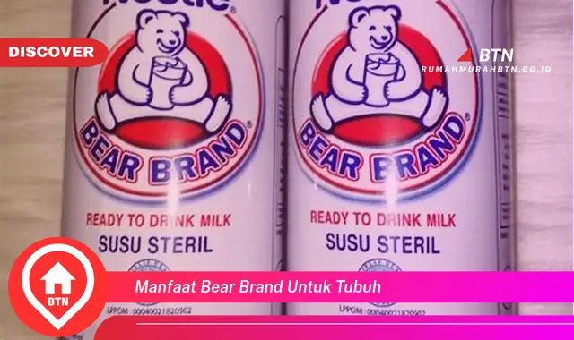 manfaat bear brand untuk tubuh