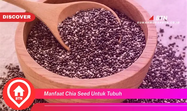 manfaat chia seed untuk tubuh