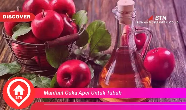 manfaat cuka apel untuk tubuh