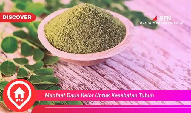 manfaat daun kelor untuk kesehatan tubuh