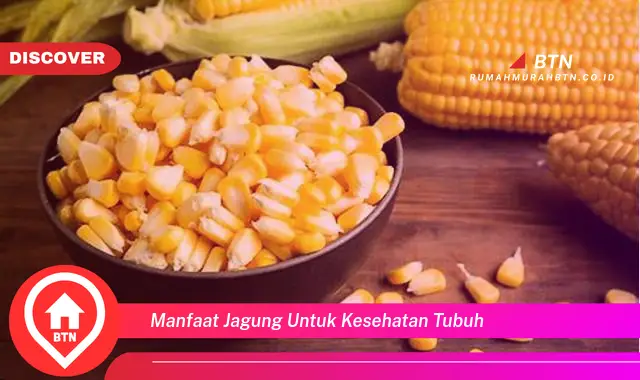 manfaat jagung untuk kesehatan tubuh