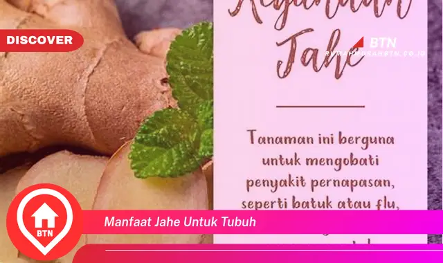 manfaat jahe untuk tubuh