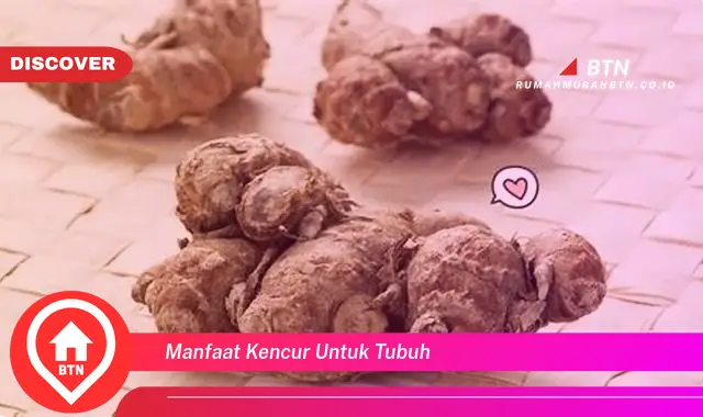 manfaat kencur untuk tubuh