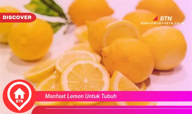 manfaat lemon untuk tubuh