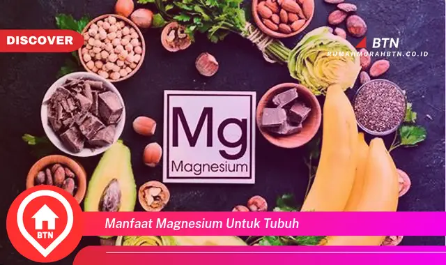 manfaat magnesium untuk tubuh