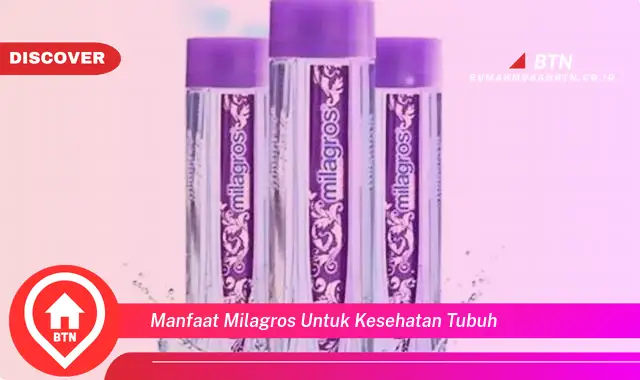 manfaat milagros untuk kesehatan tubuh