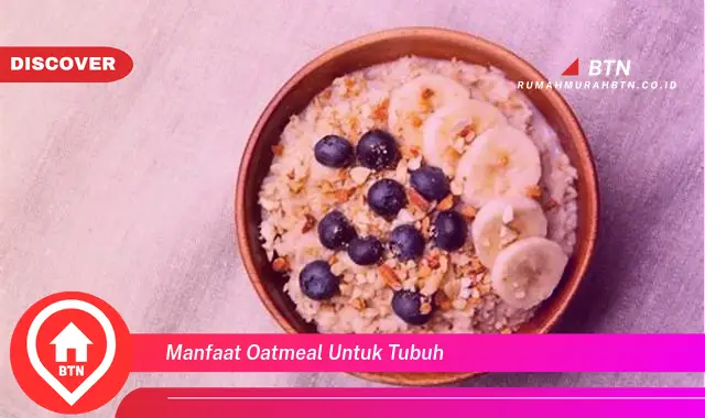 manfaat oatmeal untuk tubuh