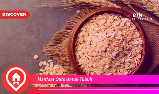 manfaat oats untuk tubuh