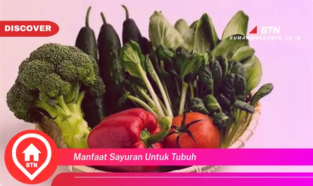 manfaat sayuran untuk tubuh