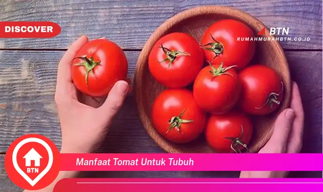 manfaat tomat untuk tubuh