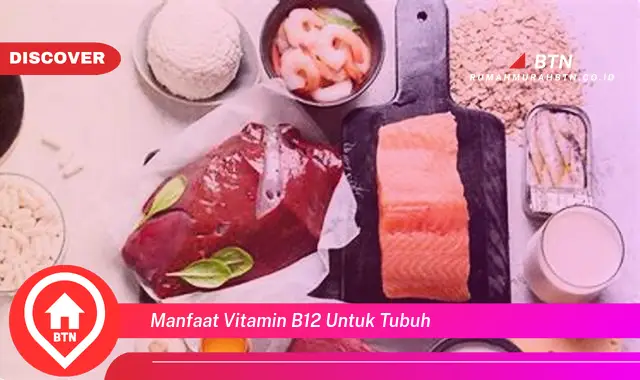 manfaat vitamin b12 untuk tubuh