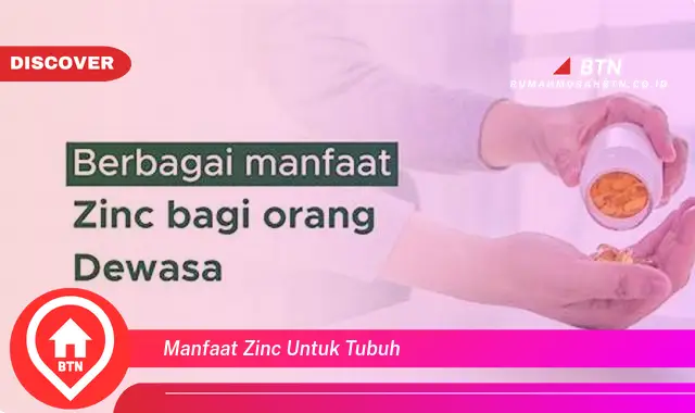 manfaat zinc untuk tubuh