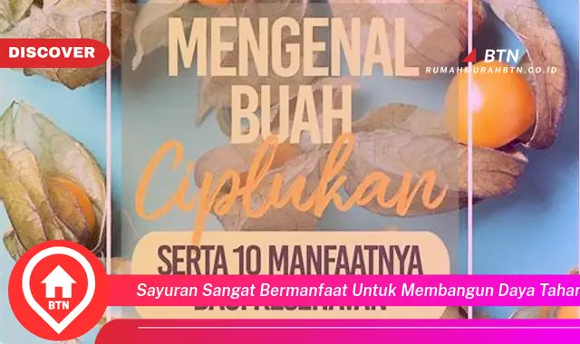 sayuran sangat bermanfaat untuk membangun daya tahan tubuh karena mengandung