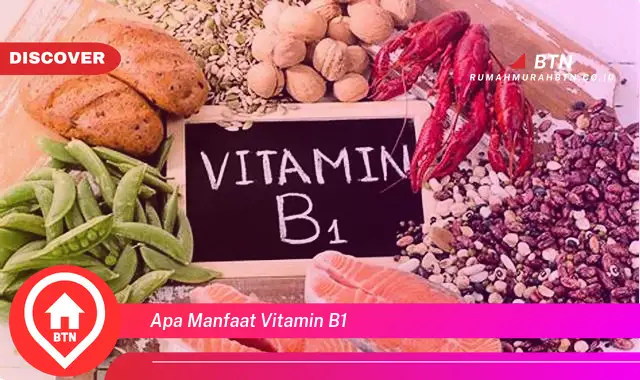 apa manfaat vitamin b1