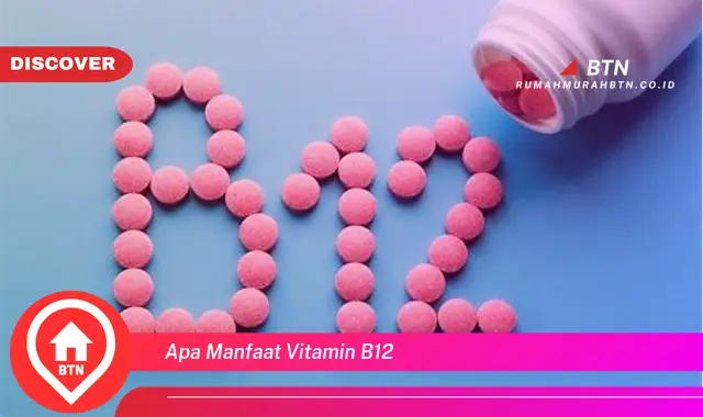 apa manfaat vitamin b12