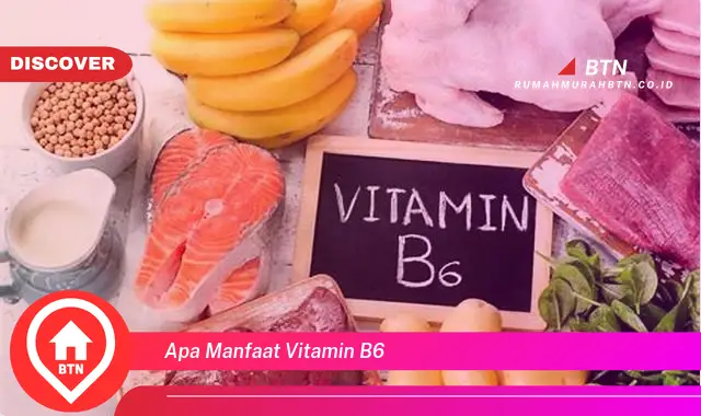 apa manfaat vitamin b6