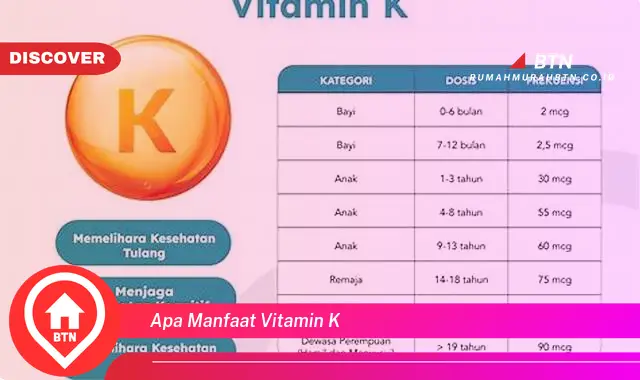 apa manfaat vitamin k