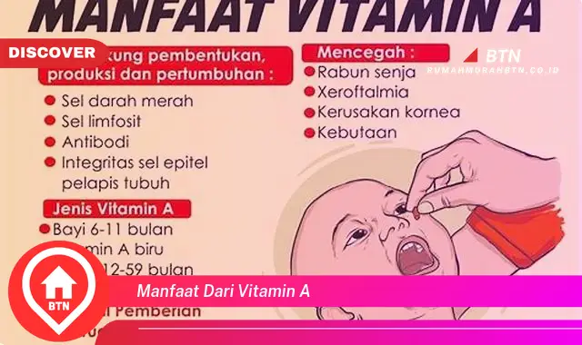 manfaat dari vitamin a