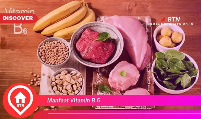 manfaat vitamin b 6