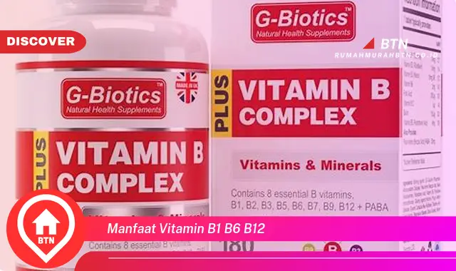 manfaat vitamin b1 b6 b12