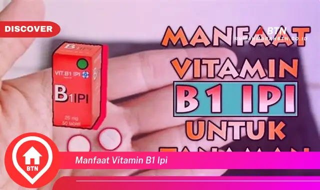 manfaat vitamin b1 ipi