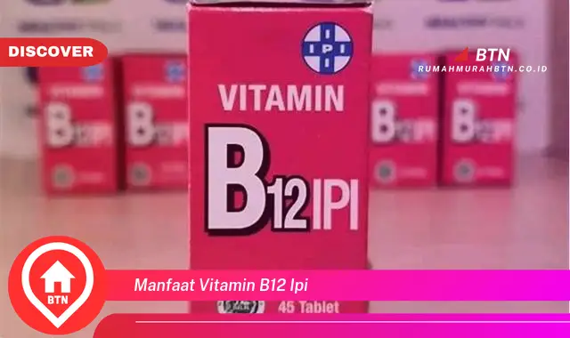 manfaat vitamin b12 ipi