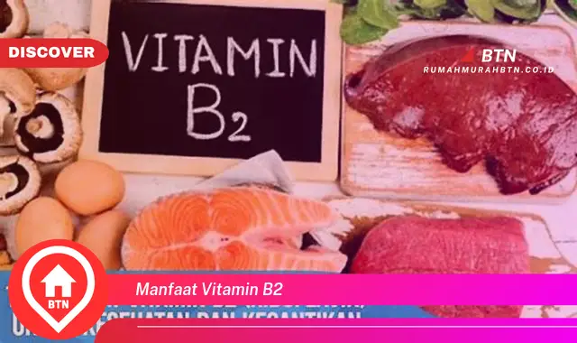 manfaat vitamin b2