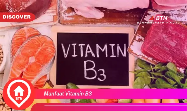 manfaat vitamin b3