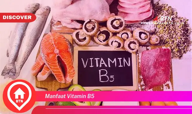 manfaat vitamin b5