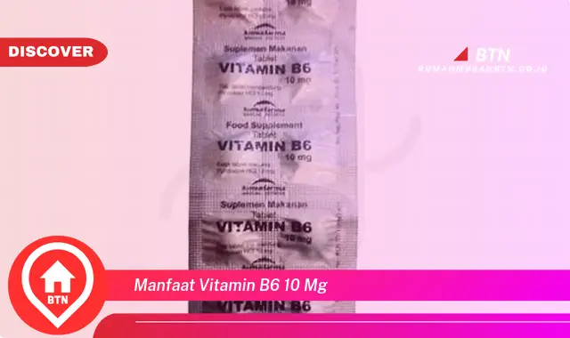 manfaat vitamin b6 10 mg