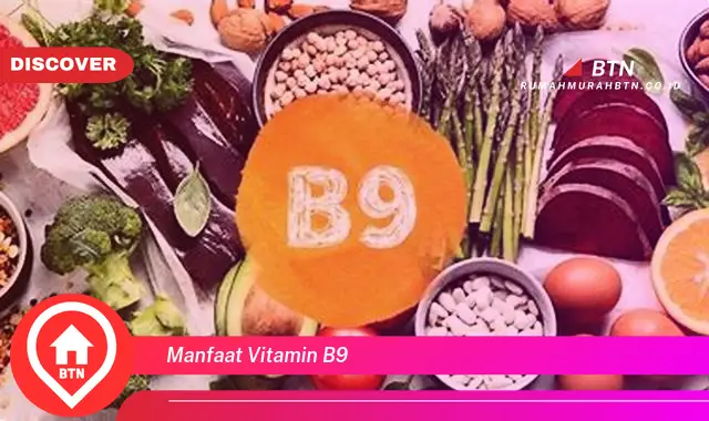 manfaat vitamin b9