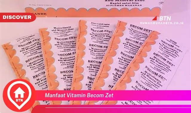 manfaat vitamin becom zet