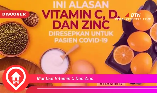 manfaat vitamin c dan zinc