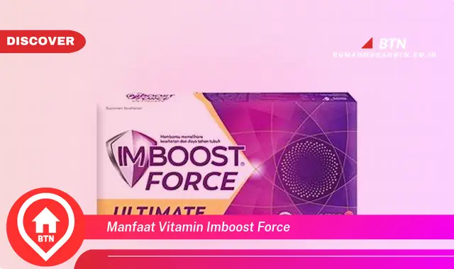 manfaat vitamin imboost force