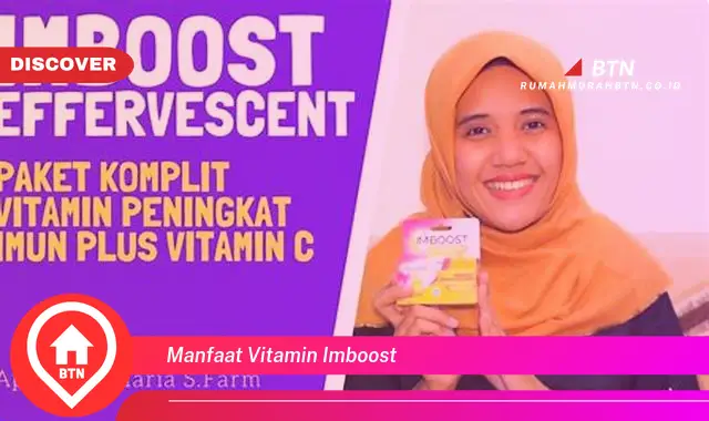 manfaat vitamin imboost