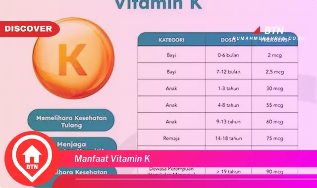 manfaat vitamin k