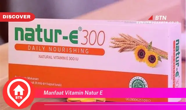 manfaat vitamin natur e