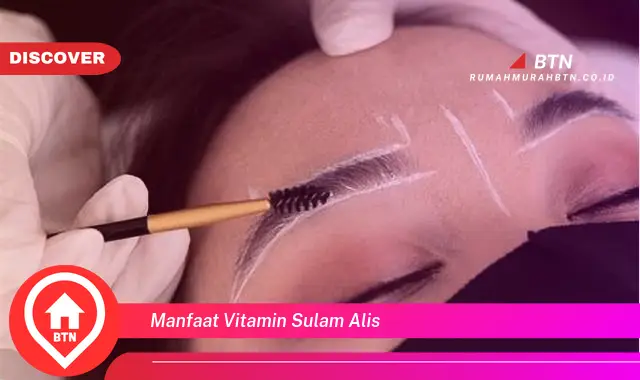 manfaat vitamin sulam alis