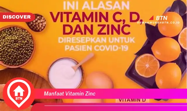 manfaat vitamin zinc