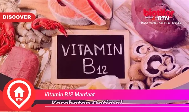 vitamin b12 manfaat