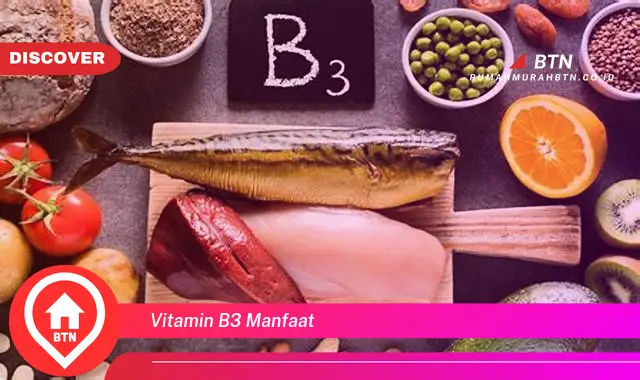 vitamin b3 manfaat