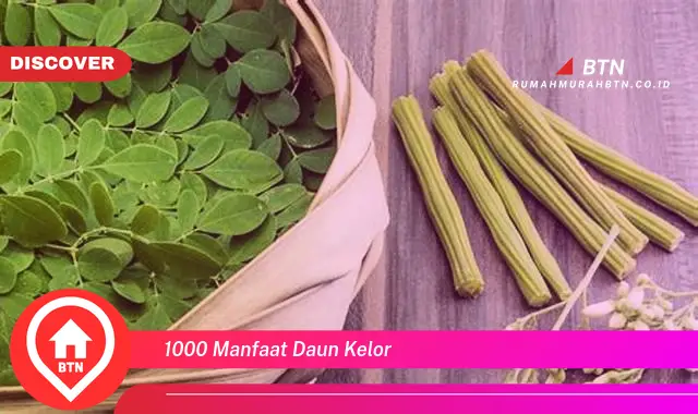 1000 manfaat daun kelor