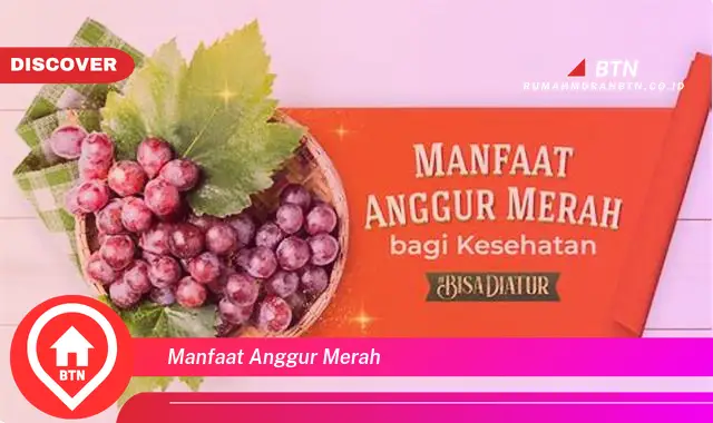 manfaat anggur merah