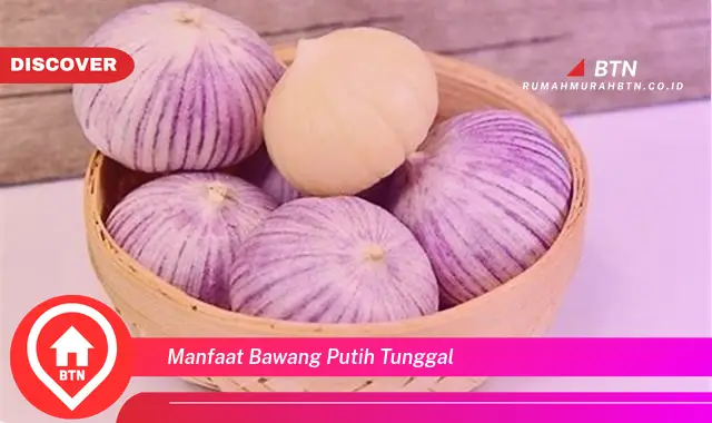 manfaat bawang putih tunggal